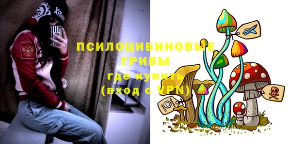 каннабис Новокубанск