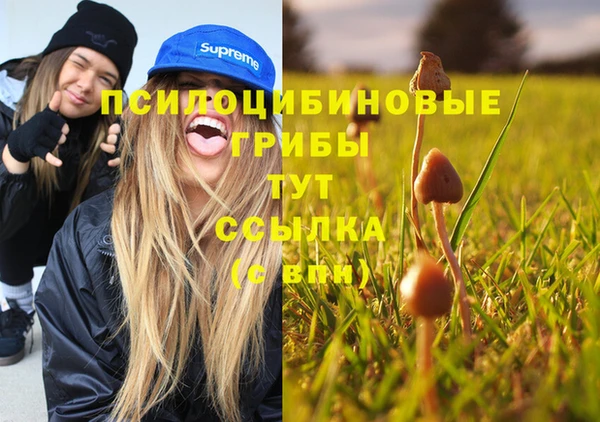 каннабис Новокубанск