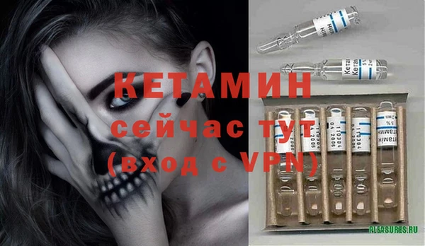 спиды Новодвинск