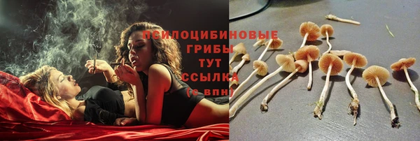 не бодяженный Новозыбков